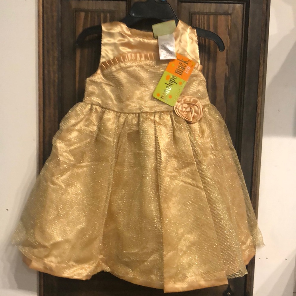 Sparkly Gold New Dress size 24months